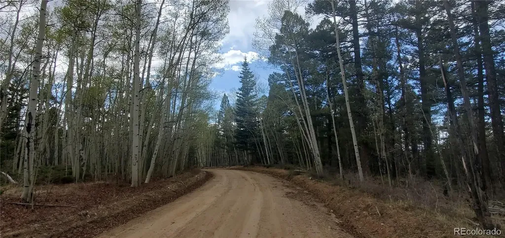 Lot 6090 Vreeland Road San Luis CO 81152