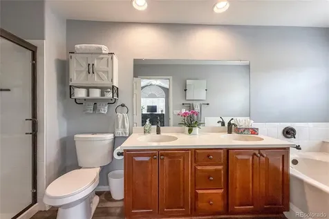 1234 Carlyle Park Circle Highlands Ranch CO 80129