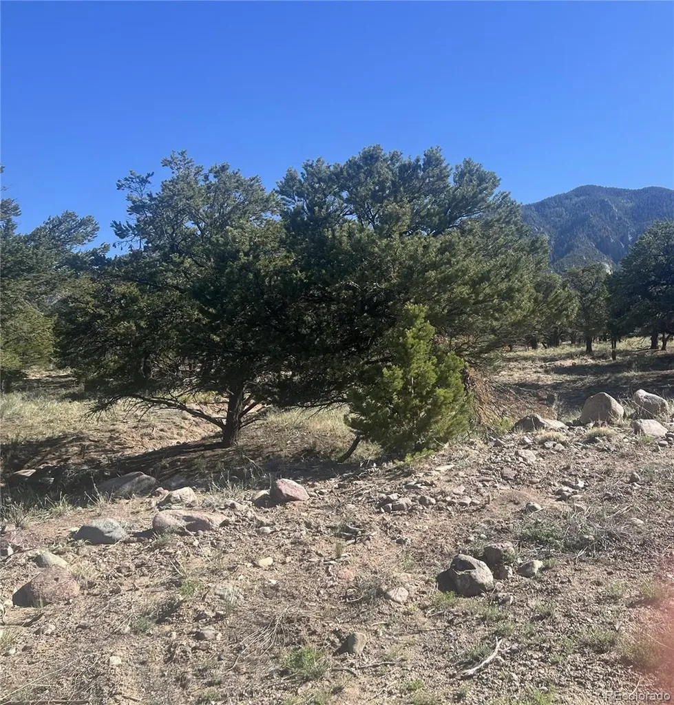 286 Palomino Way Crestone CO 81131