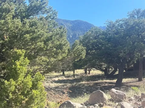 286 Palomino Way Crestone CO 81131