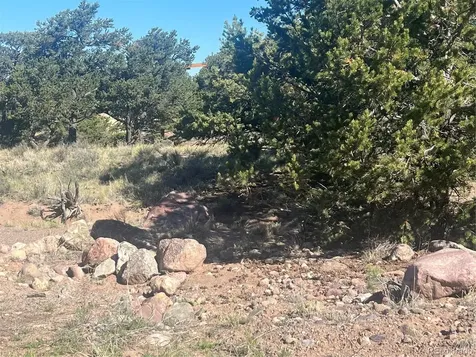 286 Palomino Way Crestone CO 81131