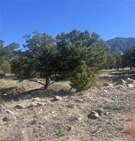 286 Palomino Way Crestone CO 81131