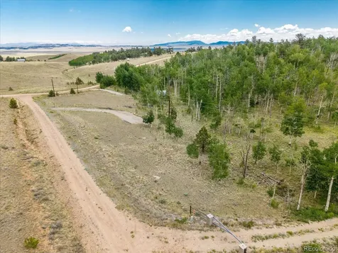 40 Brahma Court Hartsel CO 80449