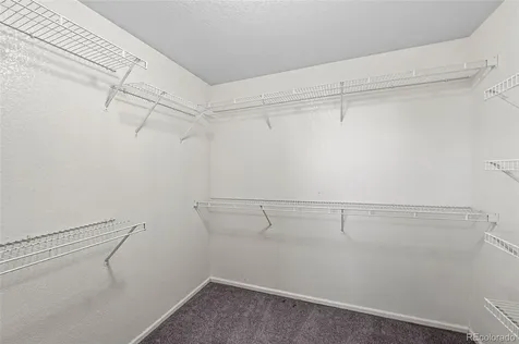 5160 Ashbrook Circle Highlands Ranch CO 80130
