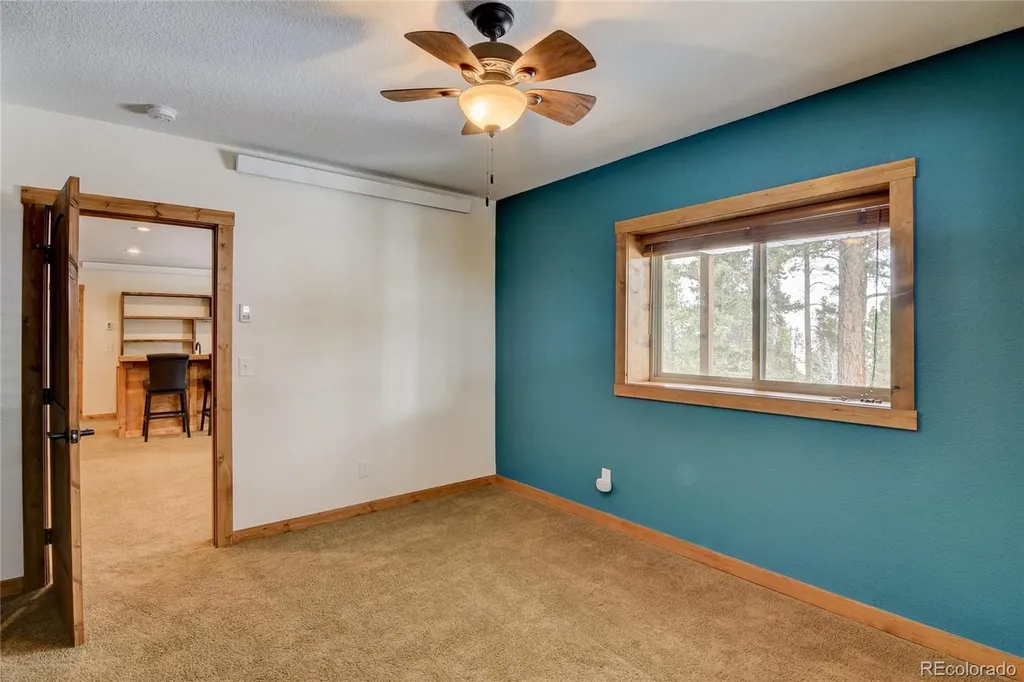 30220 Columbia Point Buena Vista CO 81211