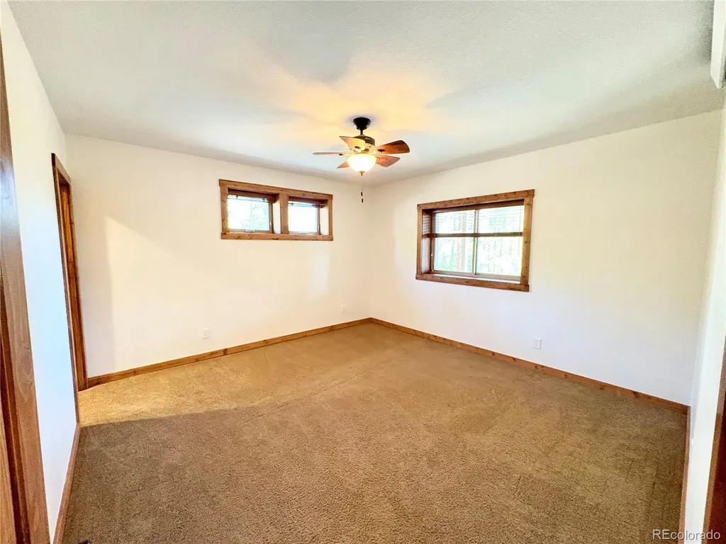 30220 Columbia Point Buena Vista CO 81211
