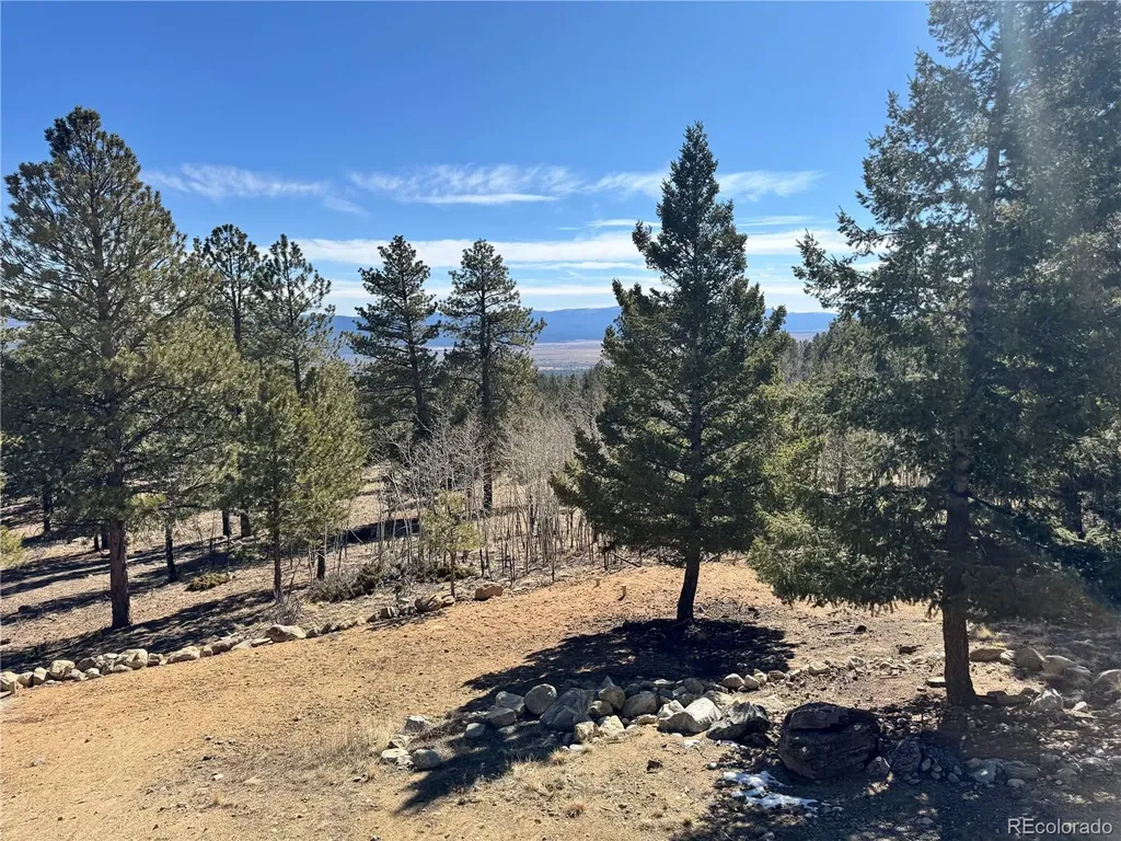 30220 Columbia Point Buena Vista CO 81211