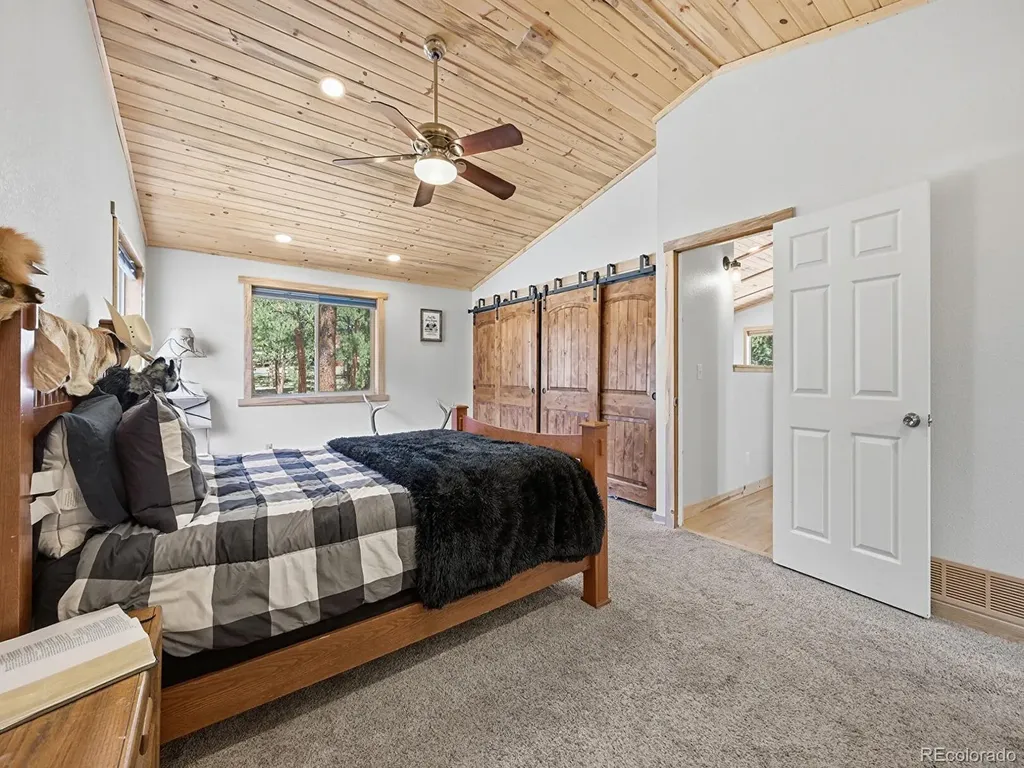 234 Impala Trail Bailey CO 80421