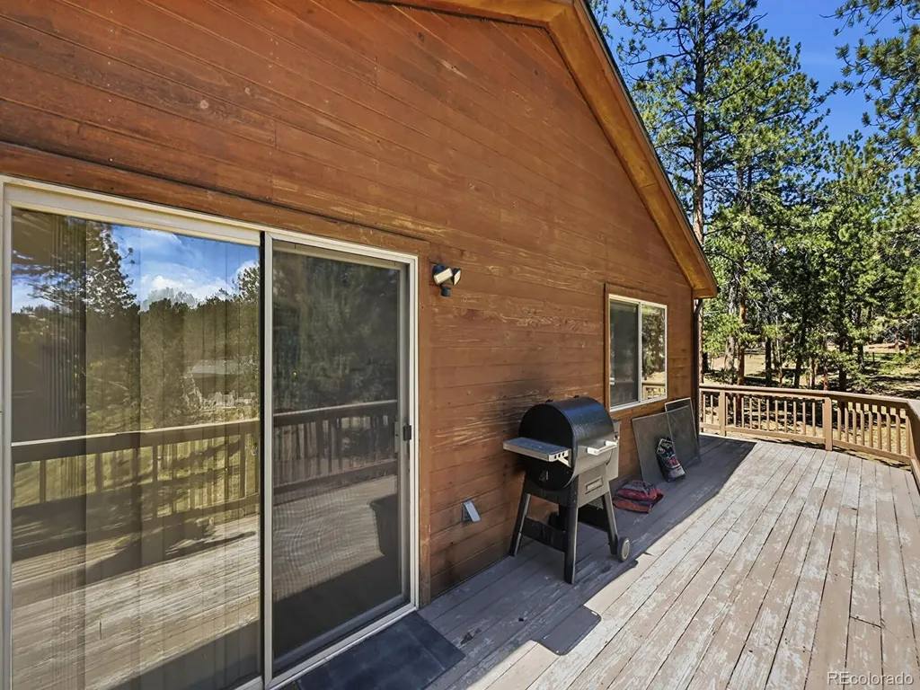 234 Impala Trail Bailey CO 80421