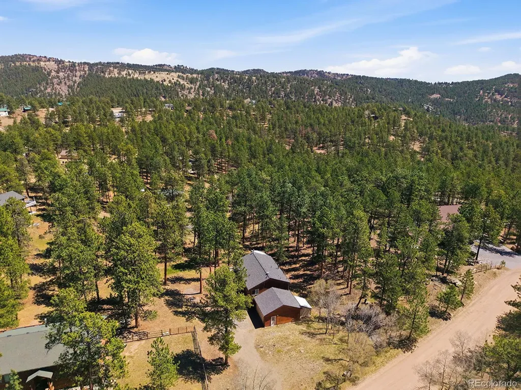 234 Impala Trail Bailey CO 80421