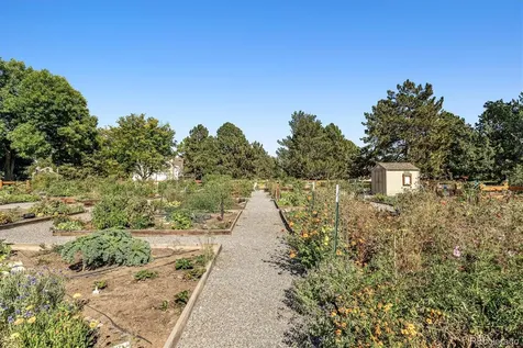 3354 S Flower Street Lakewood CO 80227