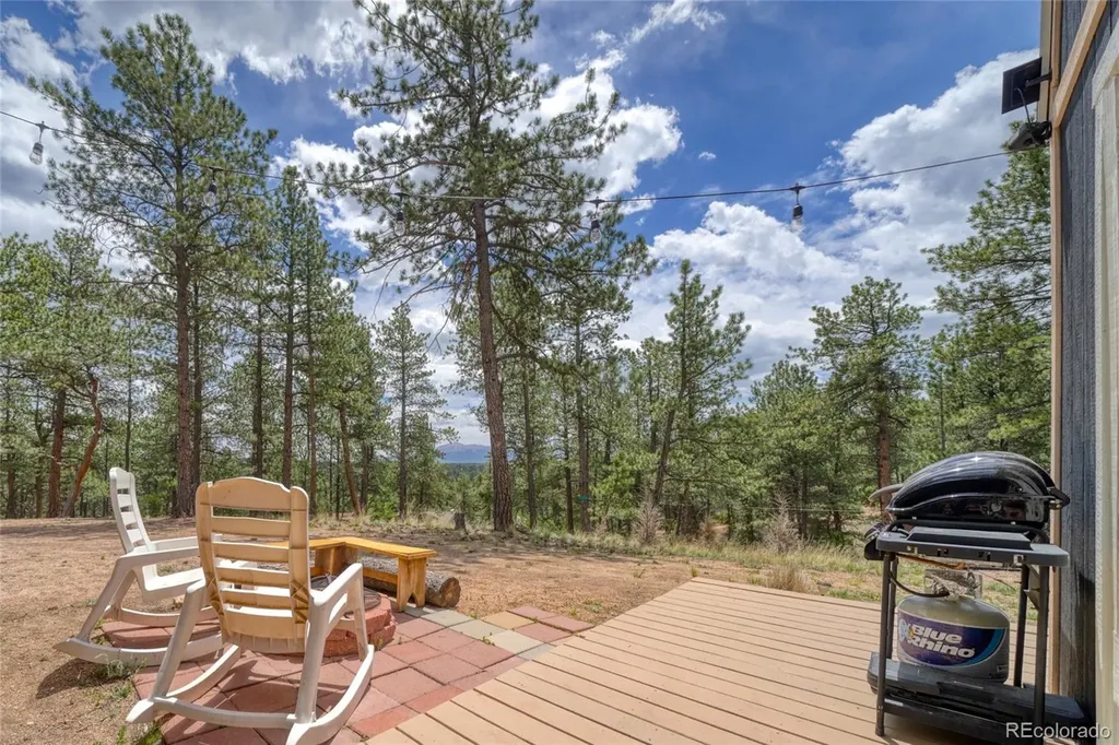 2927 Pathfinder Road Florissant CO 80816