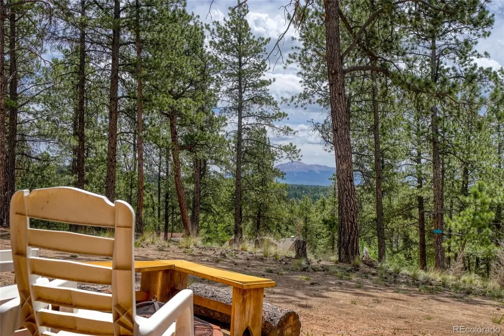 2927 Pathfinder Road Florissant CO 80816