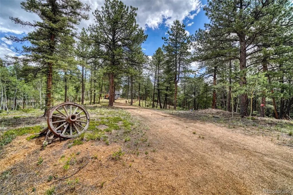 2927 Pathfinder Road Florissant CO 80816