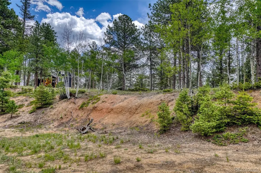 2927 Pathfinder Road Florissant CO 80816