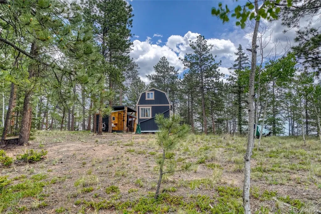 2927 Pathfinder Road Florissant CO 80816