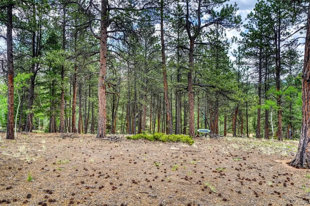 2927 Pathfinder Road Florissant CO 80816