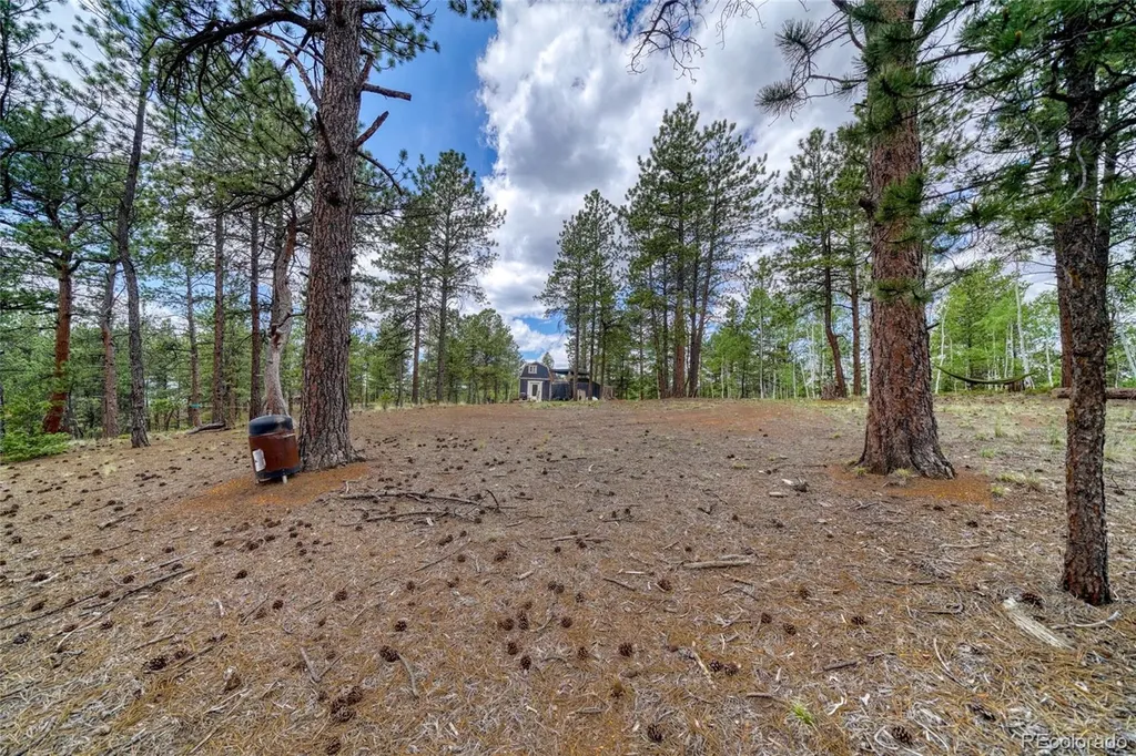 2927 Pathfinder Road Florissant CO 80816