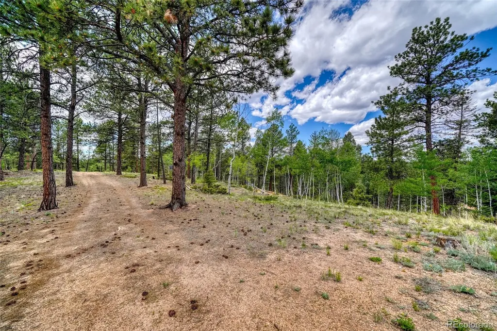 2927 Pathfinder Road Florissant CO 80816