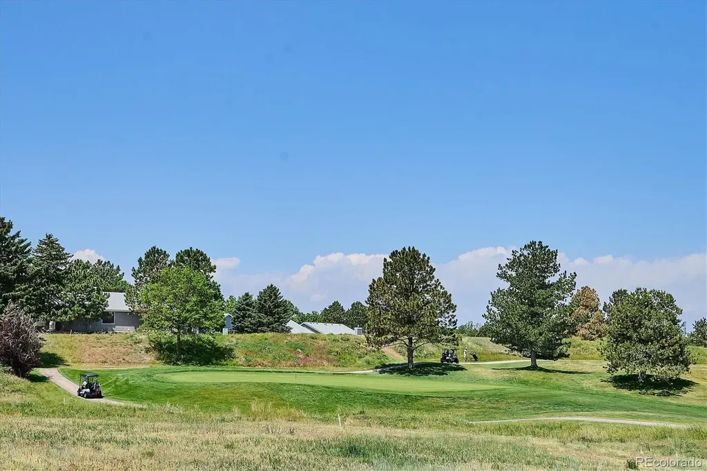 1 Birmingham Court Highlands Ranch CO 80130
