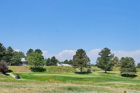 1 Birmingham Court Highlands Ranch CO 80130