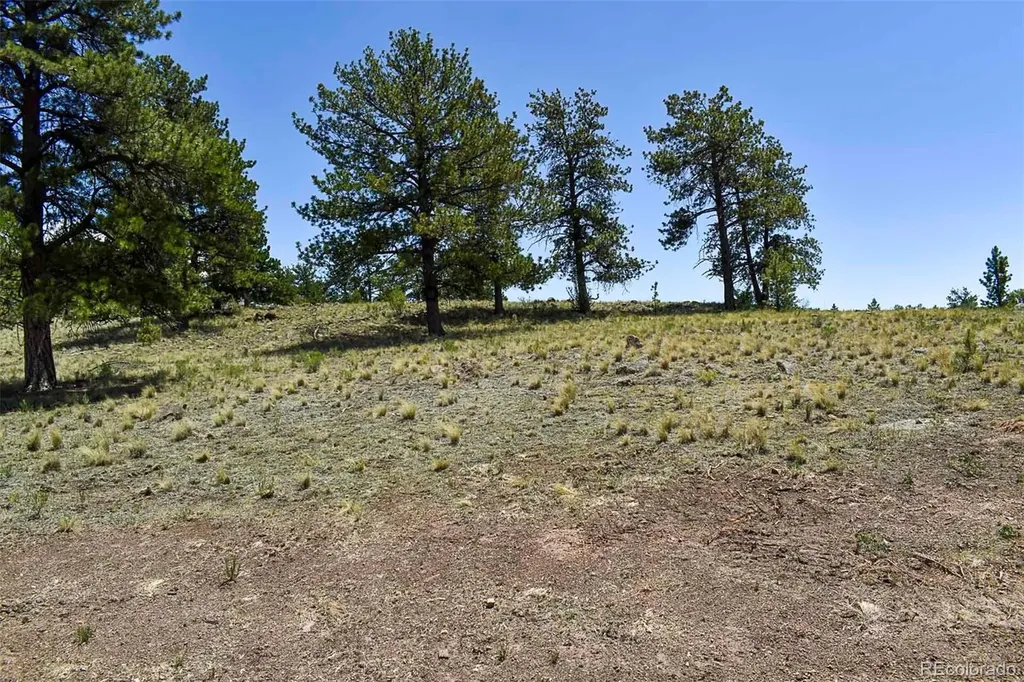 4278 County Road 71 Guffey CO 80820