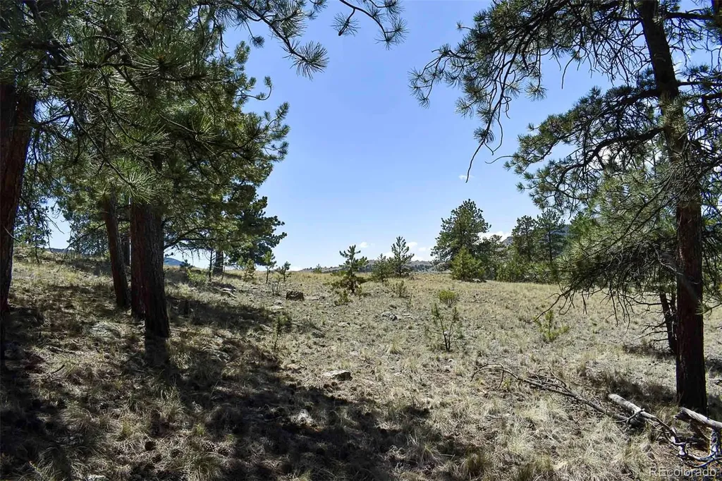 4278 County Road 71 Guffey CO 80820