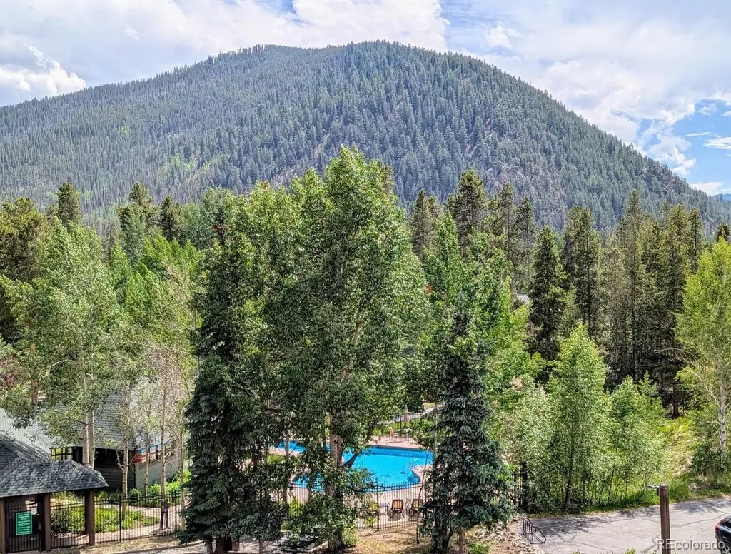 392 Wild Irishman Road Dillon CO 80435