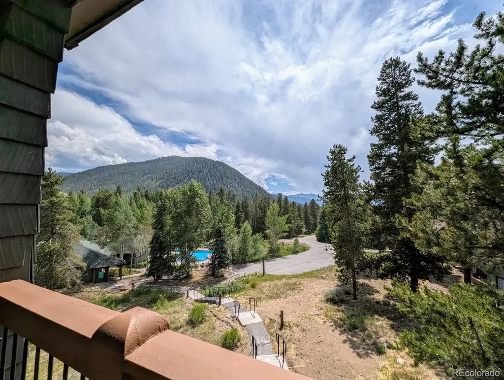 392 Wild Irishman Road Dillon CO 80435