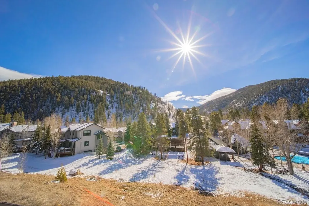 392 Wild Irishman Road Dillon CO 80435