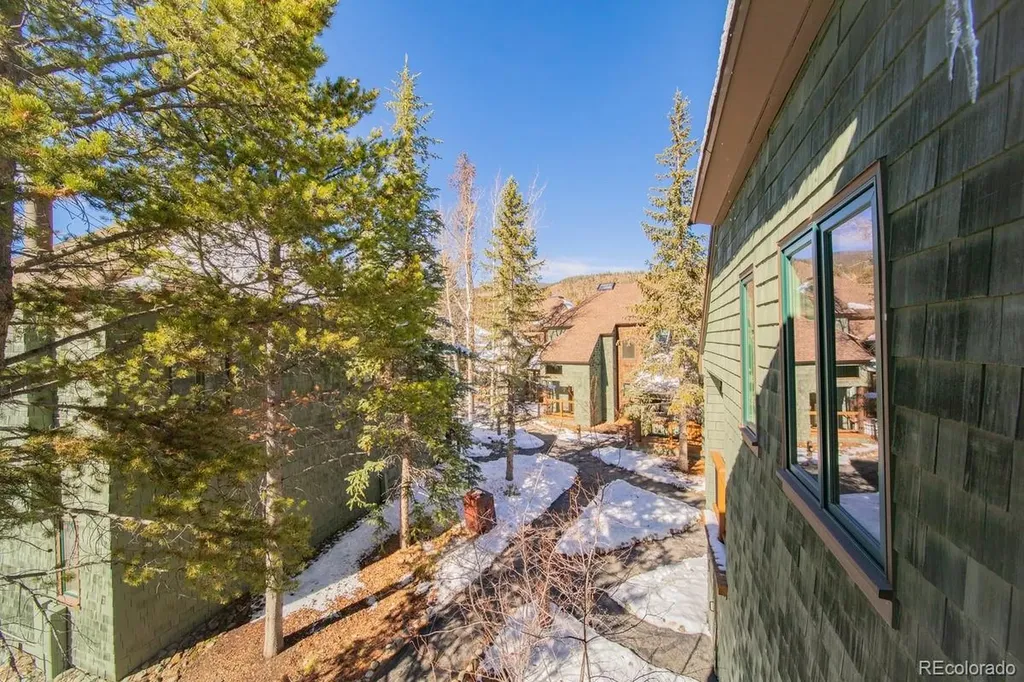 392 Wild Irishman Road Dillon CO 80435