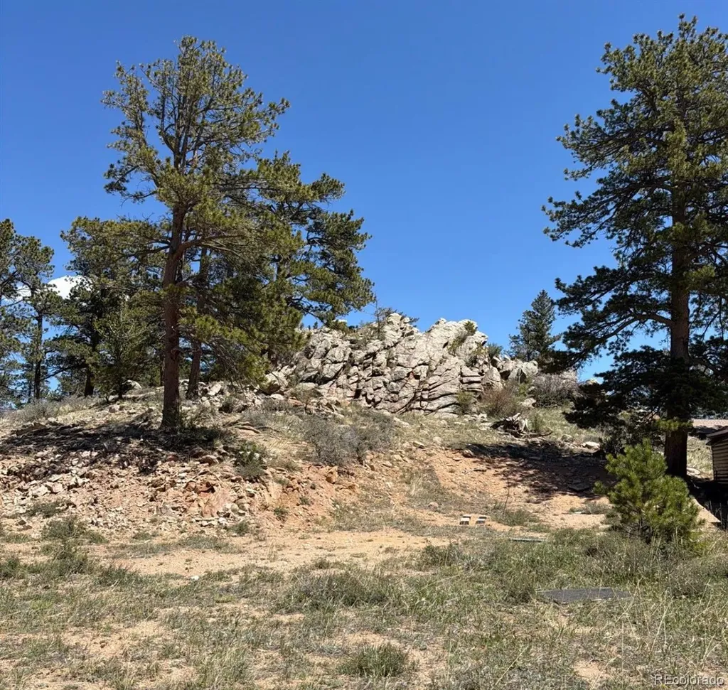 168 Main Street Red Feather Lakes CO 80545