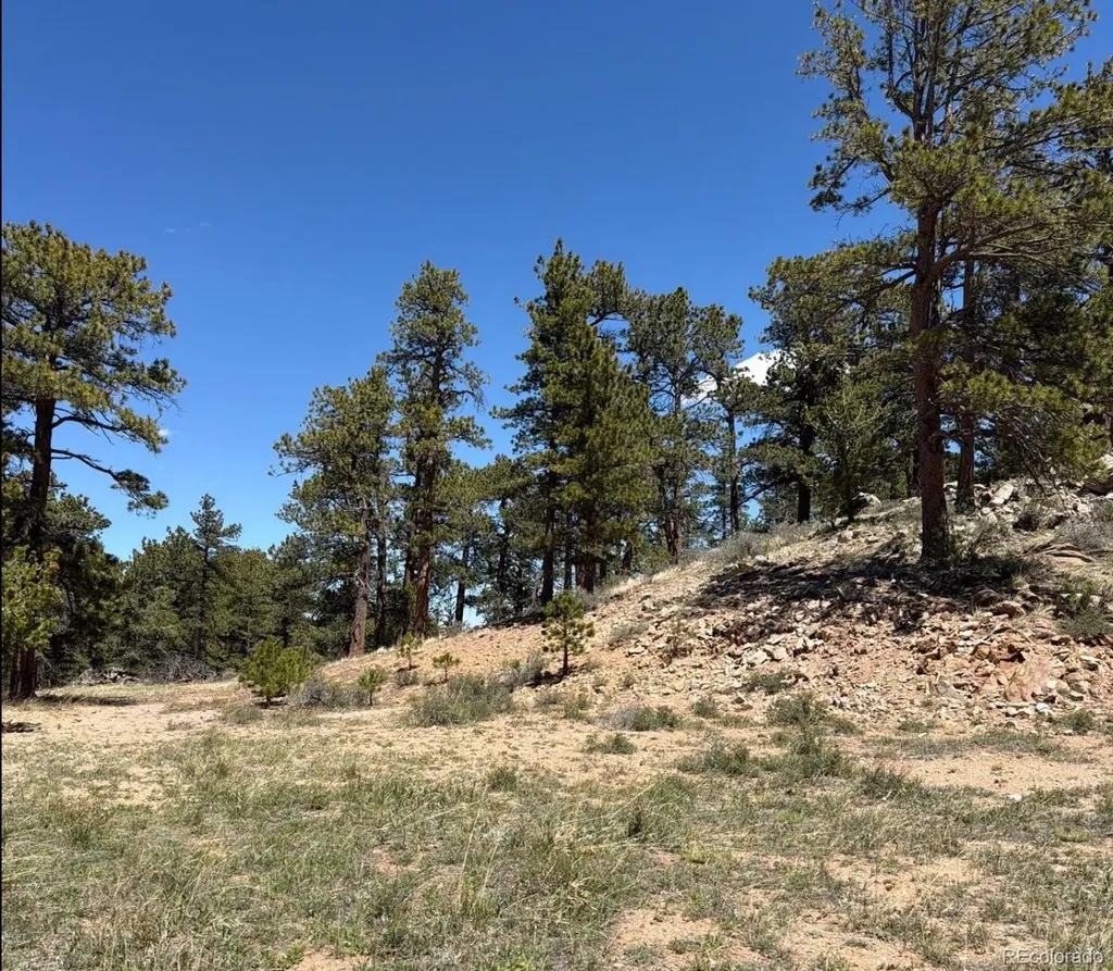168 Main Street Red Feather Lakes CO 80545