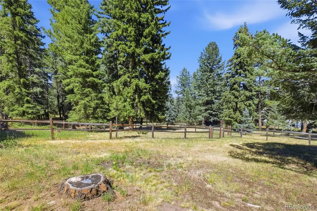8818 Blue Creek Road Evergreen CO 80439