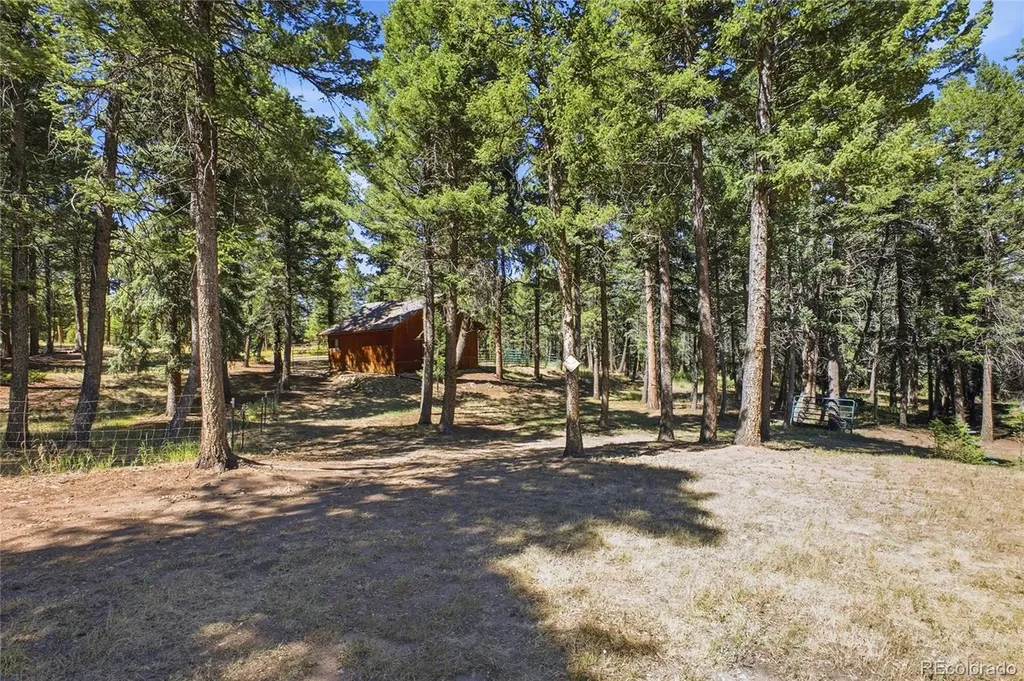 8818 Blue Creek Road Evergreen CO 80439
