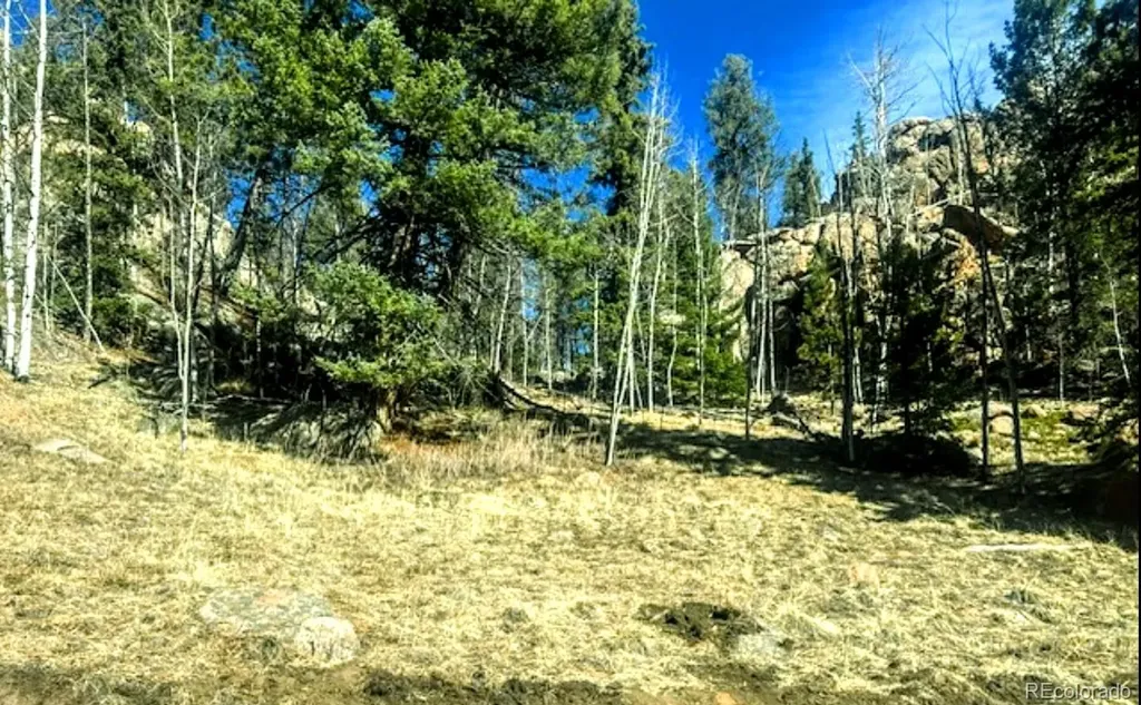 987 Eagle Rock Road Florissant CO 80816