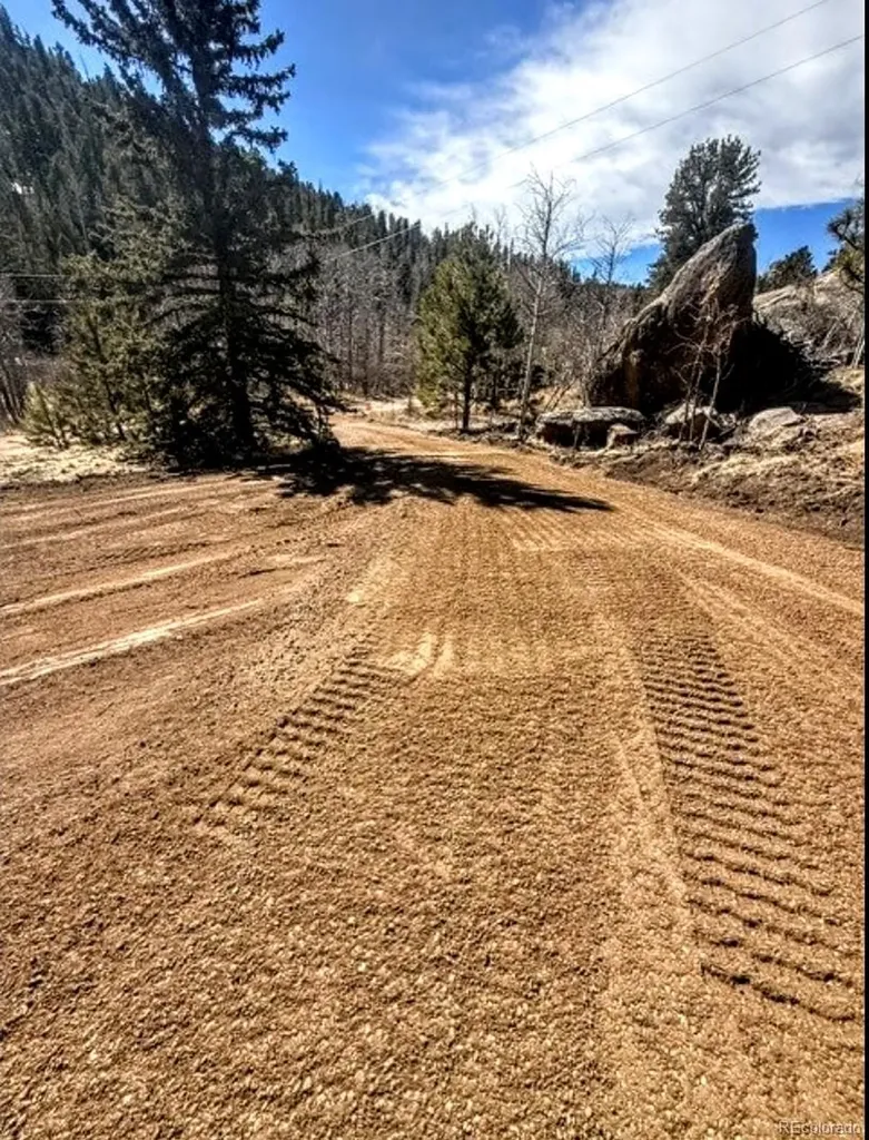 987 Eagle Rock Road Florissant CO 80816