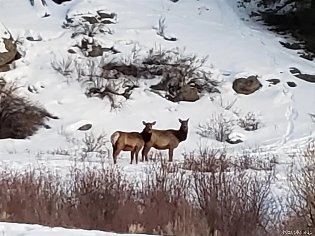 987 Eagle Rock Road Florissant CO 80816