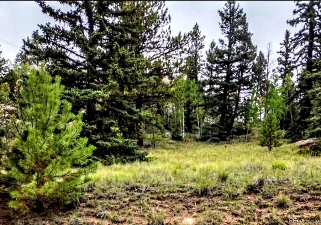 987 Eagle Rock Road Florissant CO 80816