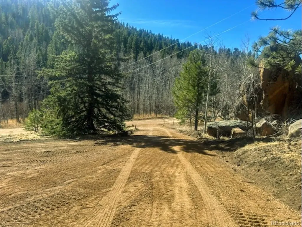987 Eagle Rock Road Florissant CO 80816