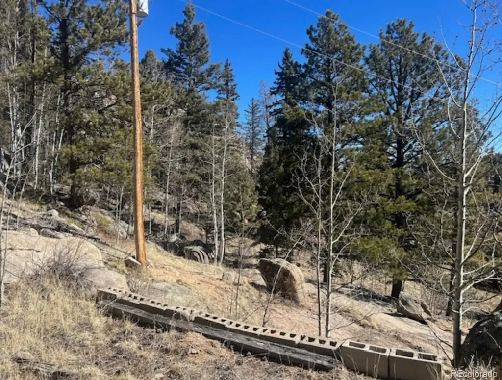 987 Eagle Rock Road Florissant CO 80816