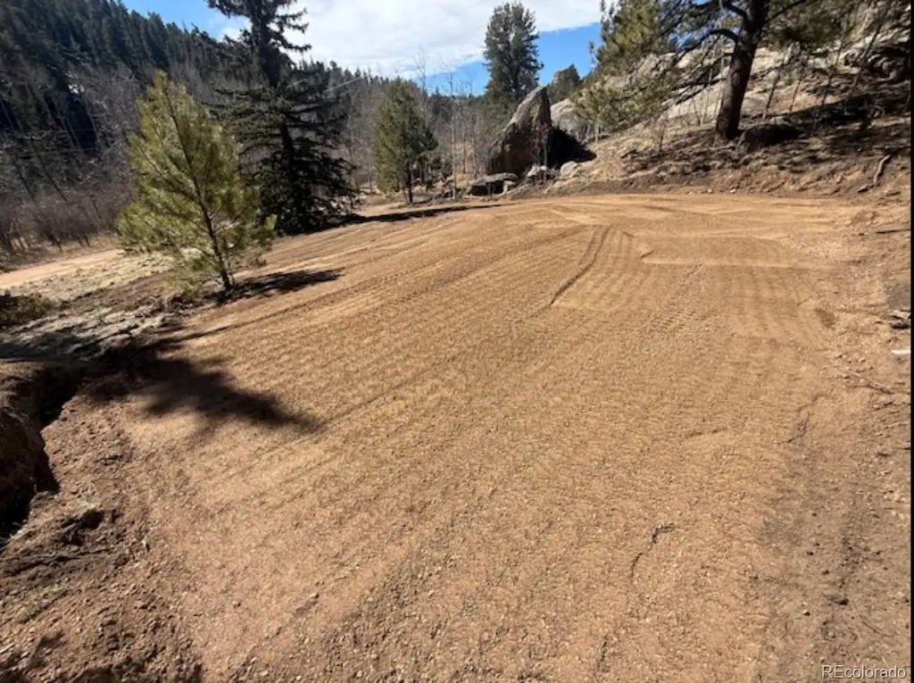987 Eagle Rock Road Florissant CO 80816