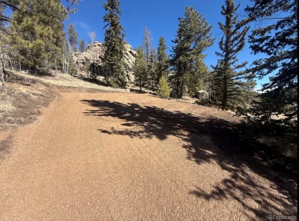 987 Eagle Rock Road Florissant CO 80816