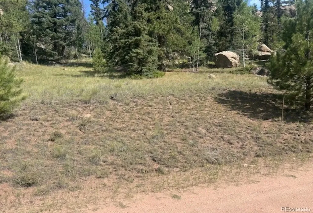 987 Eagle Rock Road Florissant CO 80816