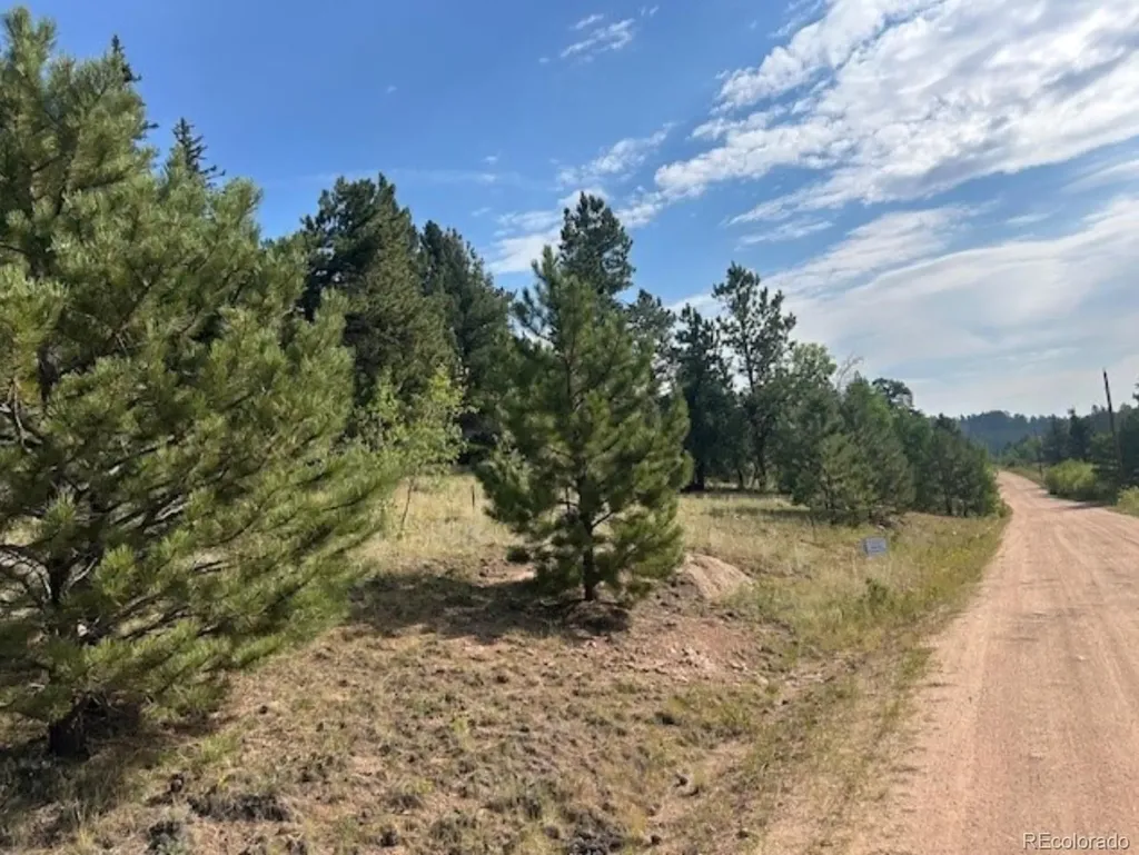 987 Eagle Rock Road Florissant CO 80816