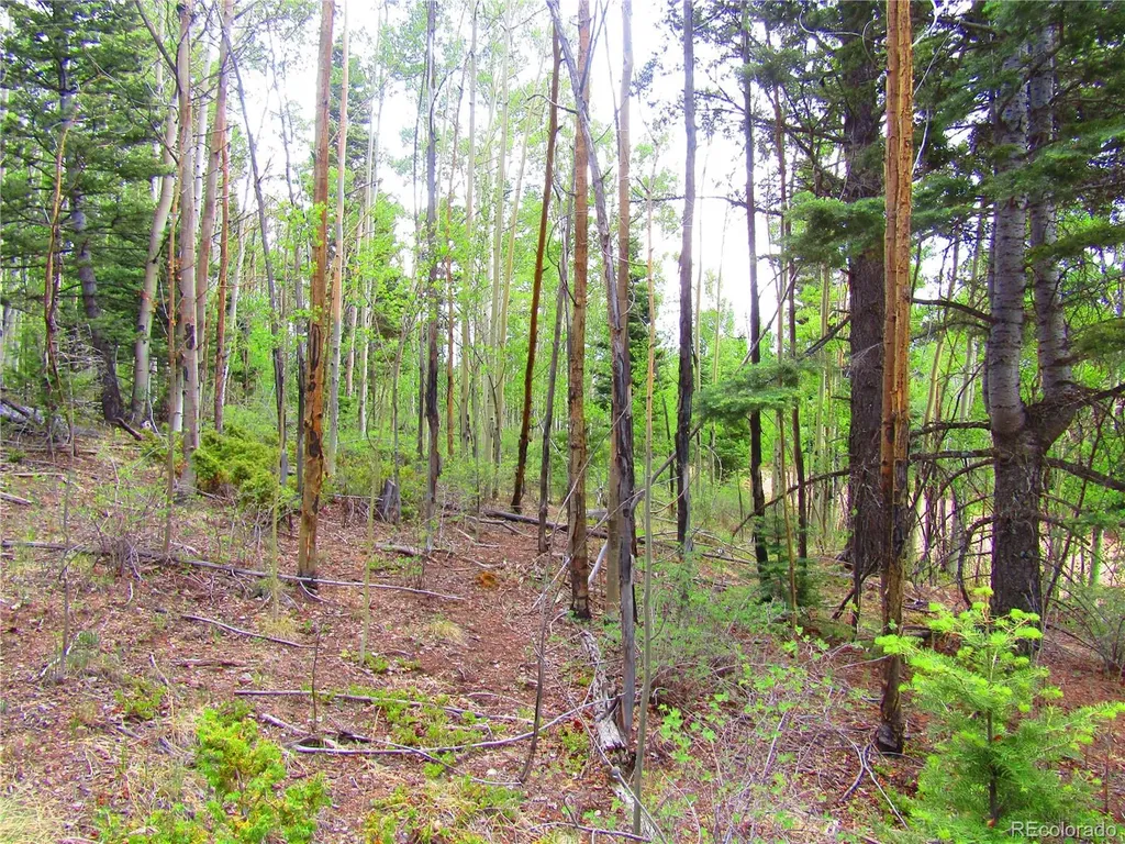 Lot 6850 Ryland Road San Luis CO 81152
