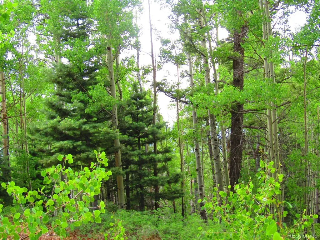 Lot 6850 Ryland Road San Luis CO 81152