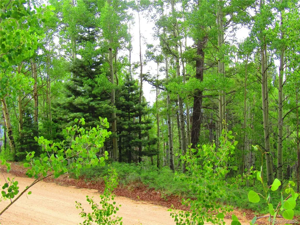 Lot 6850 Ryland Road San Luis CO 81152