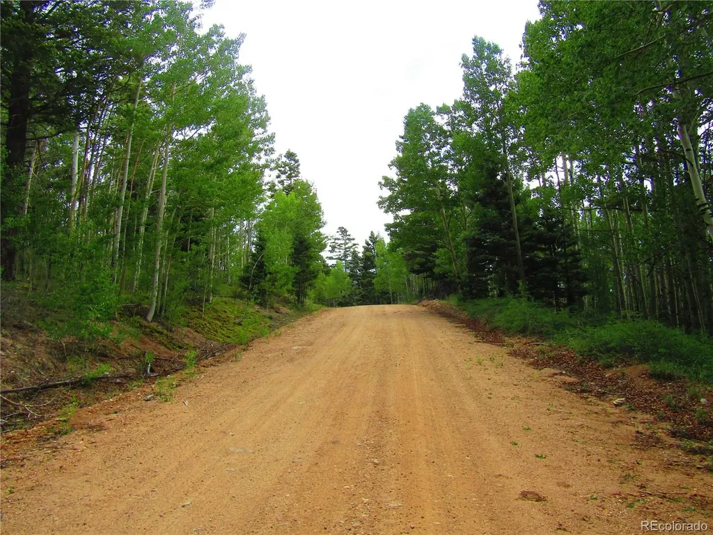 Lot 6850 Ryland Road San Luis CO 81152