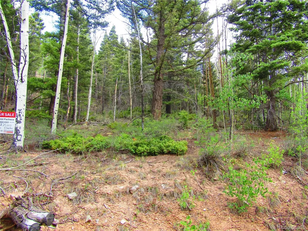 Lot 6850 Ryland Road San Luis CO 81152